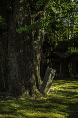 歴史の気配