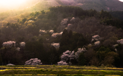 原風景に注ぐ春