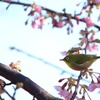 見定めて…