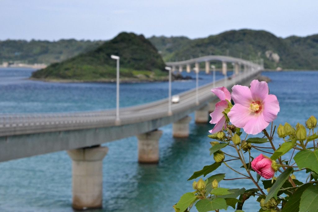 角島大橋その2