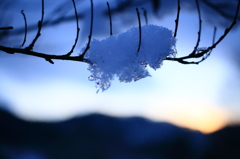 雪
