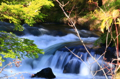 竜頭の滝