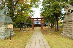 近所の神社