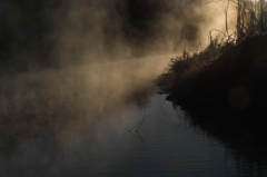 多摩川の朝霧4