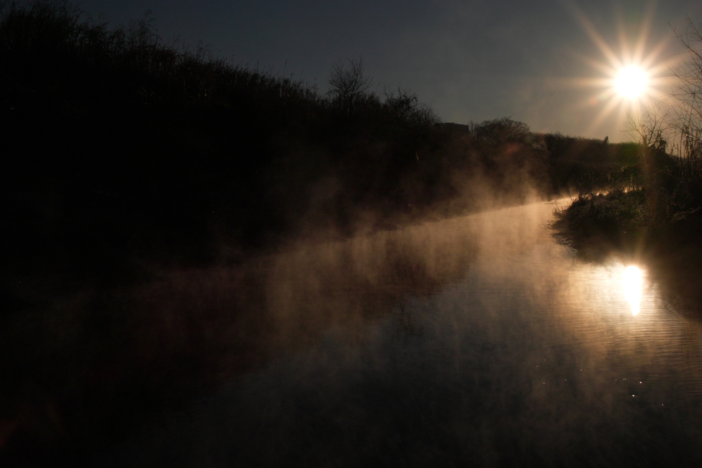 多摩川の朝霧3