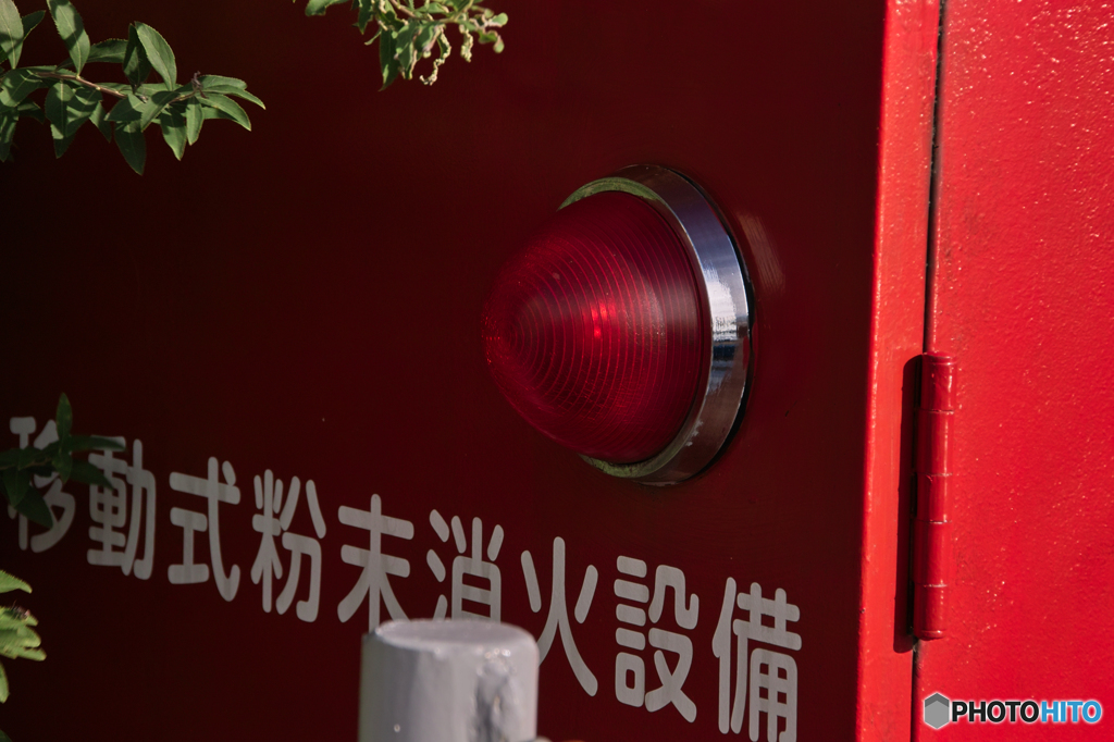 今更の18-250ｍｍ便利ズーム5