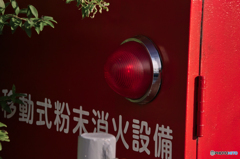 今更の18-250ｍｍ便利ズーム5