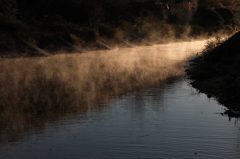 多摩川の朝霧6