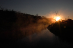 多摩川の朝霧2