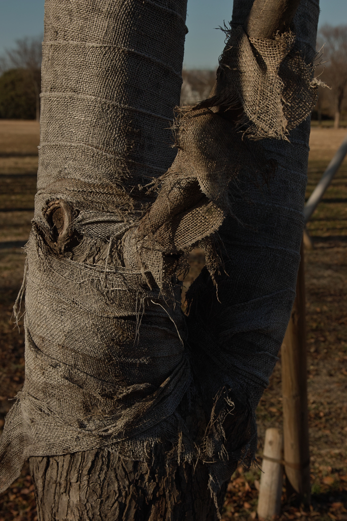 In Detail 1