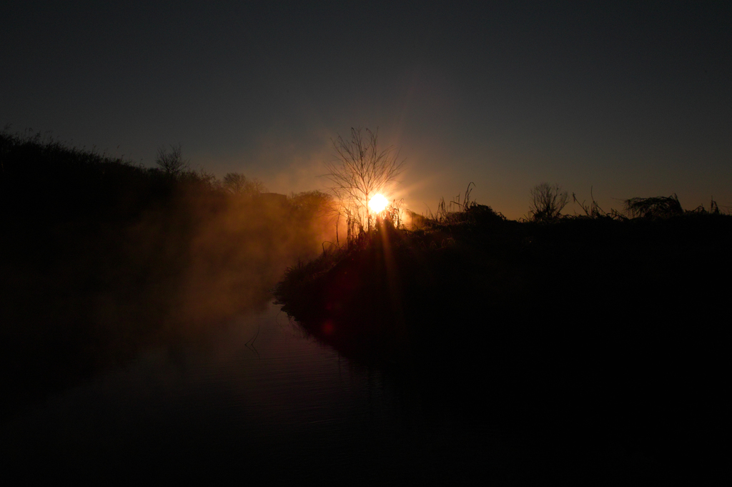 多摩川の朝霧1