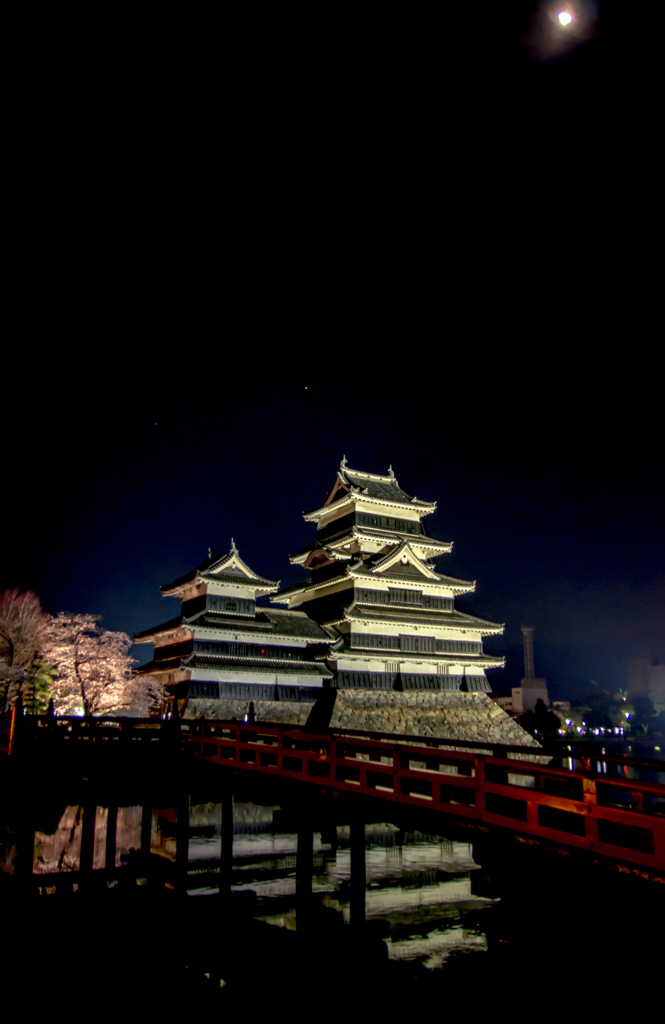 月夜の花見