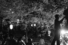 花見 祭り