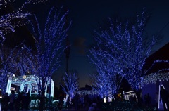 イルミネーション