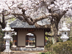 近所のお寺