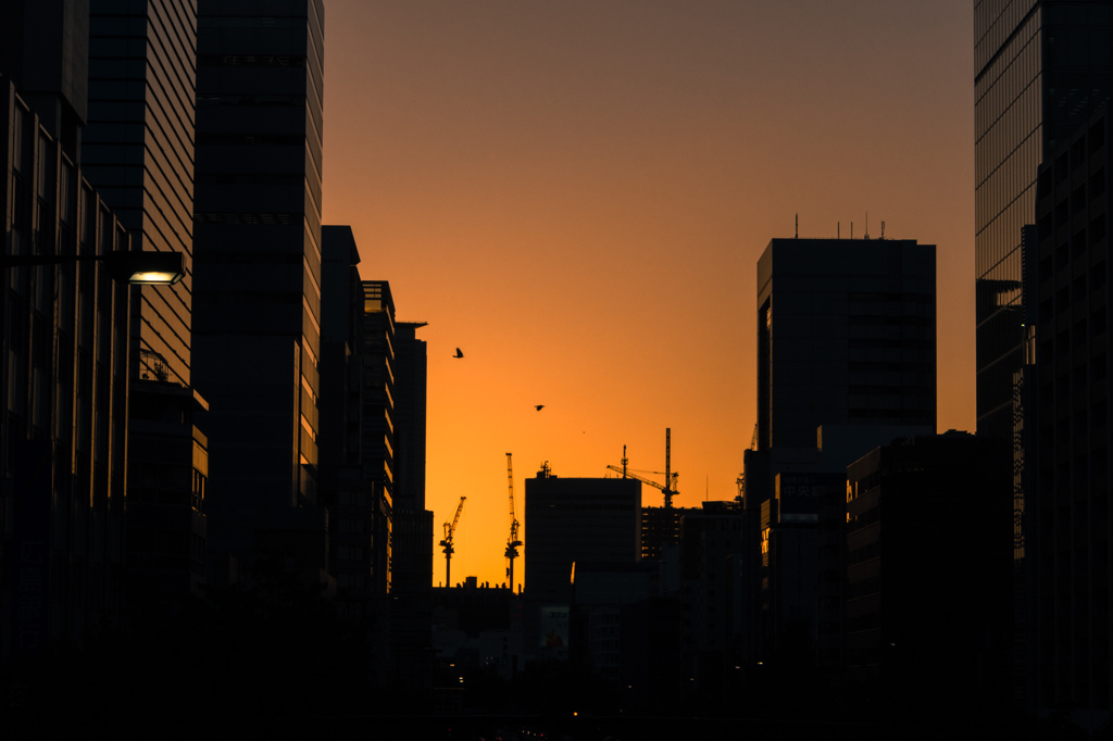 歩道橋からの夕焼け