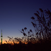 荒川の夕暮れ　１