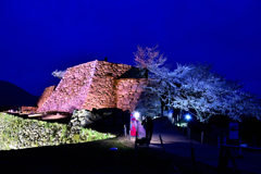 竹田城跡　桜ライトアップ