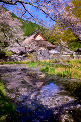 佐中の千年家　4月９日