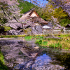 佐中の千年家　4月９日