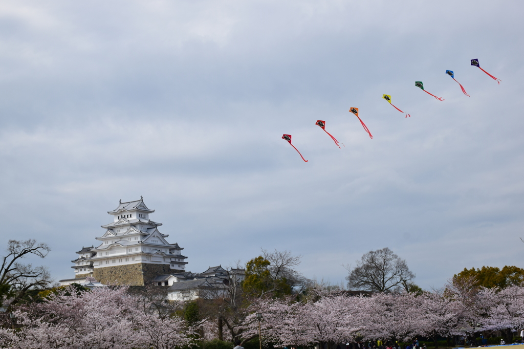 姫路城　　連凧