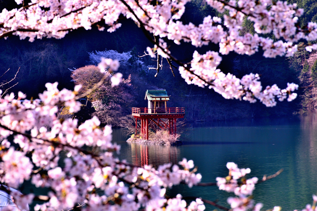 銀山湖　おかみ神社