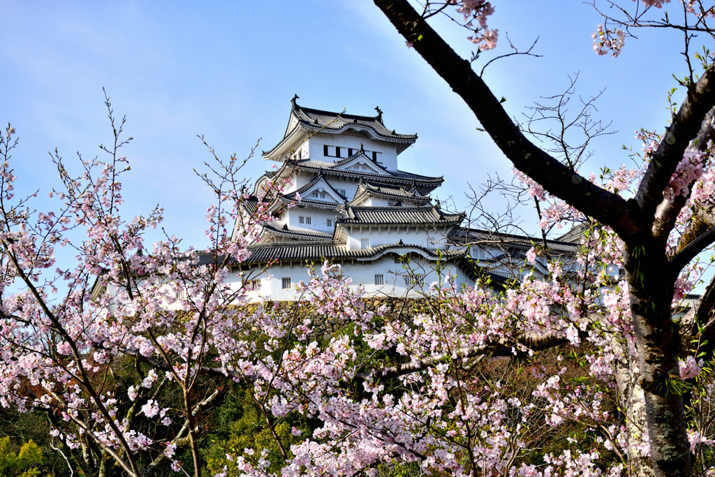 姫路城　４月２日