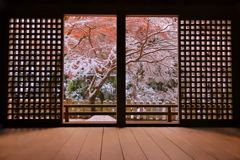 大歳神社　雪化粧