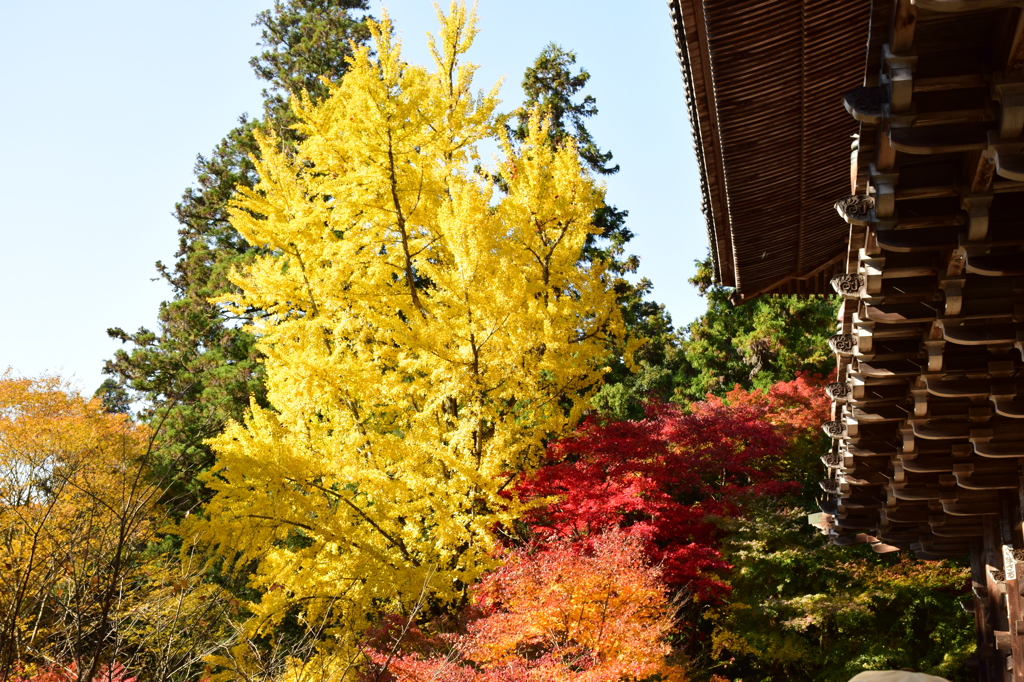 書写山円教寺-2