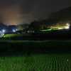 夜明け前