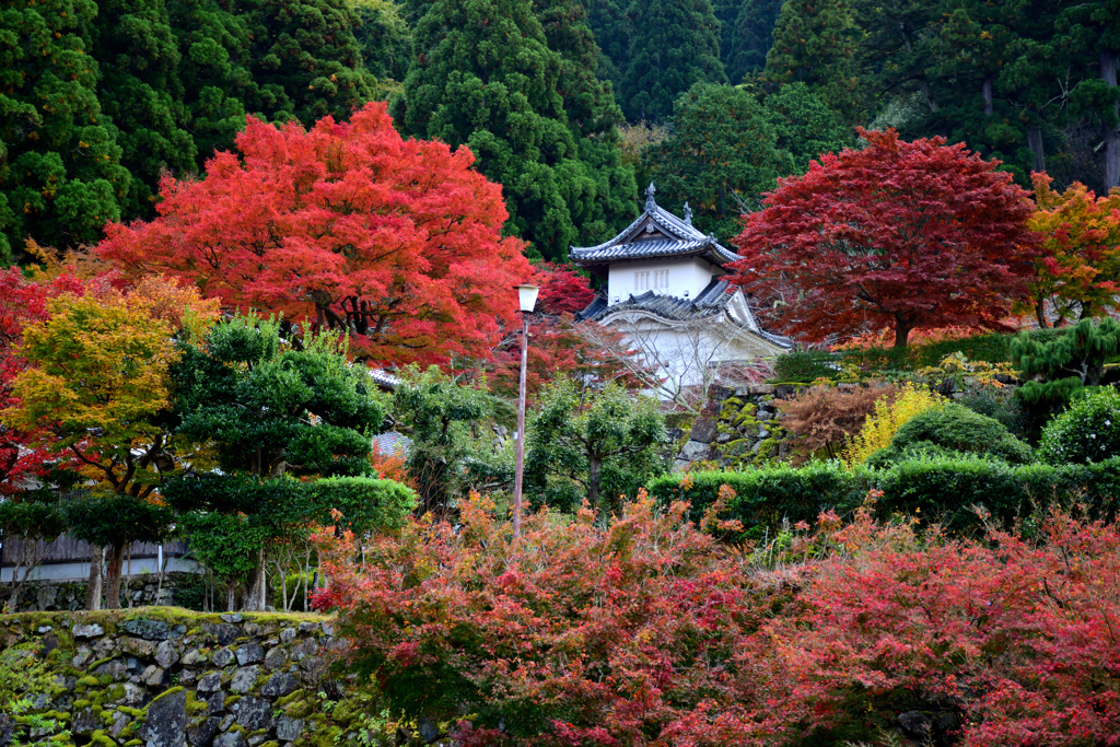 出石城