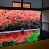 但馬　安国寺