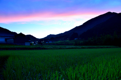 生野峠を望む-Ⅱ