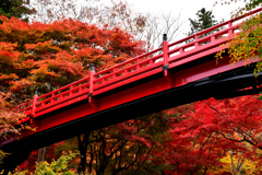 養父神社　赤い橋