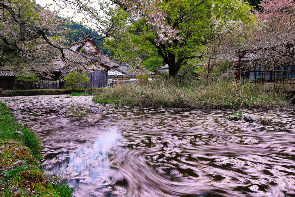佐中の千年家