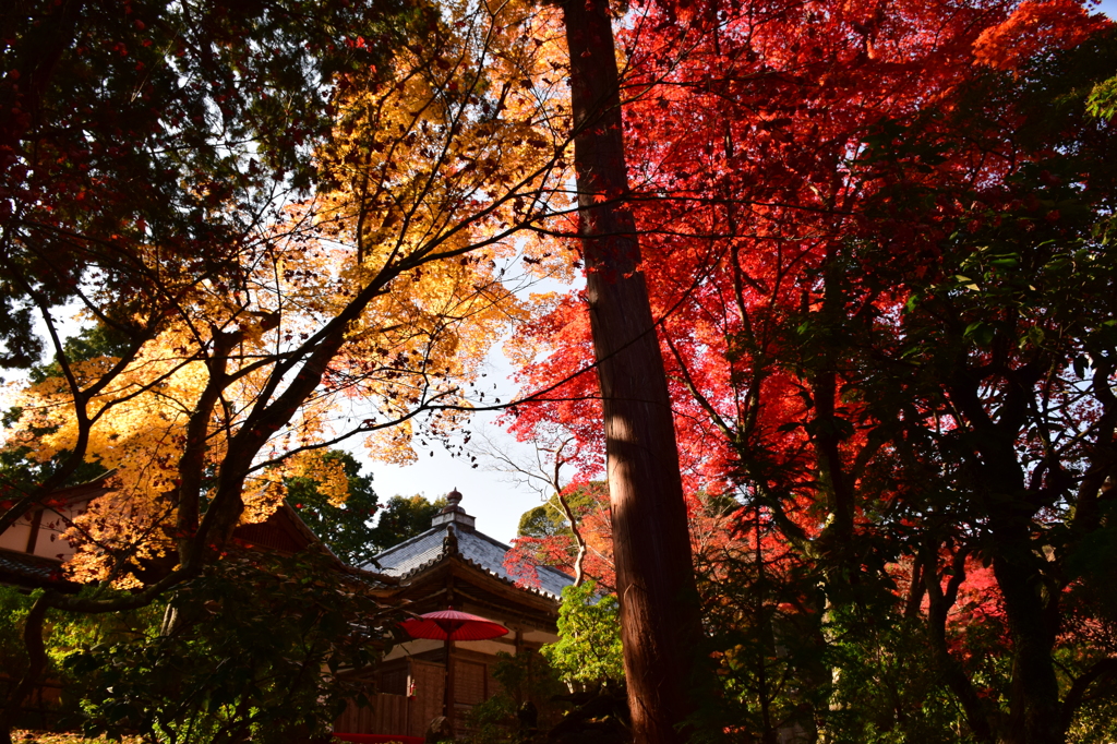 書写山円教寺-4