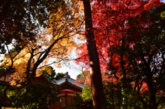 書写山円教寺-4