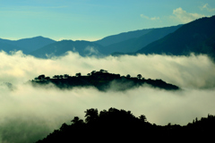 竹田城跡　雲海　8月14日