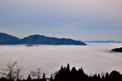 雲海