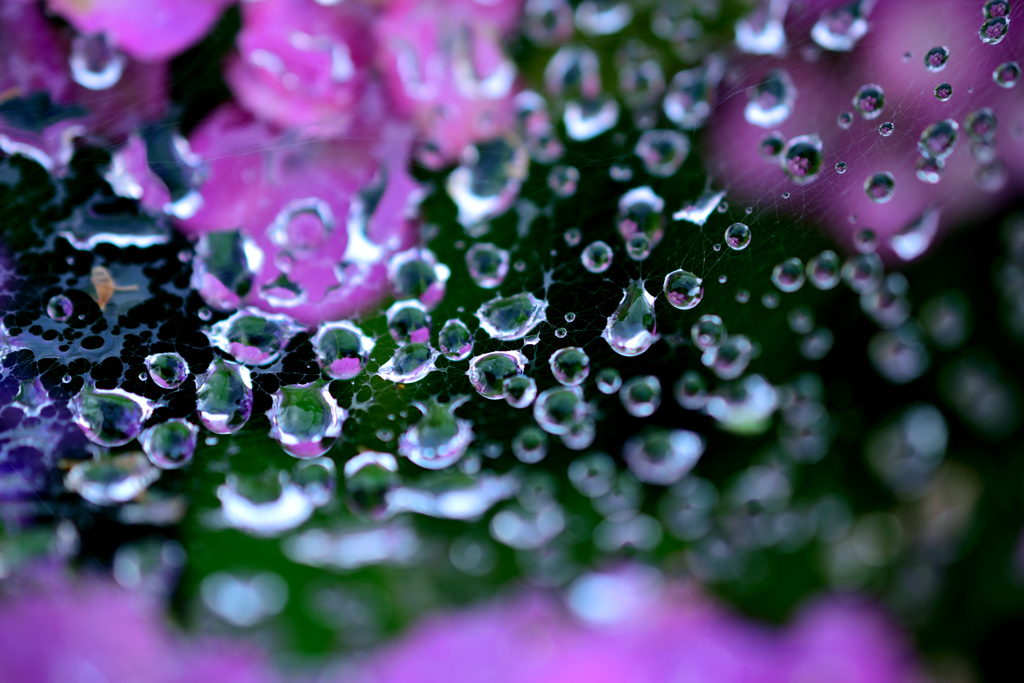 水滴