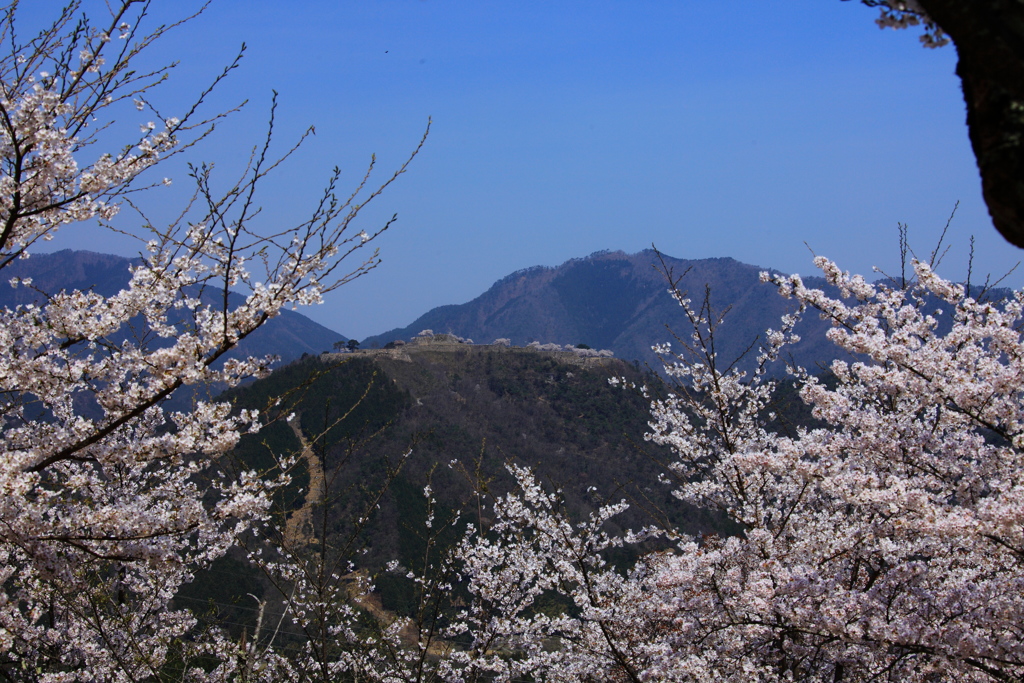 竹田城跡