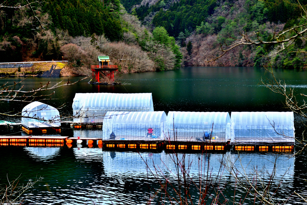 銀山湖　ワカサギ釣り