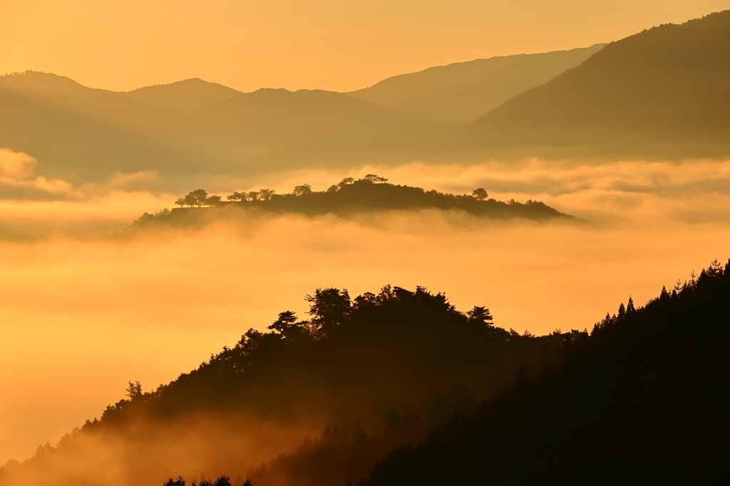 竹田城跡　陽も高く