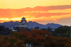 姫路城　朝焼け