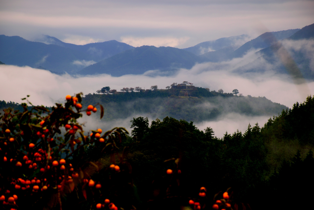 竹田城跡　色づく柿