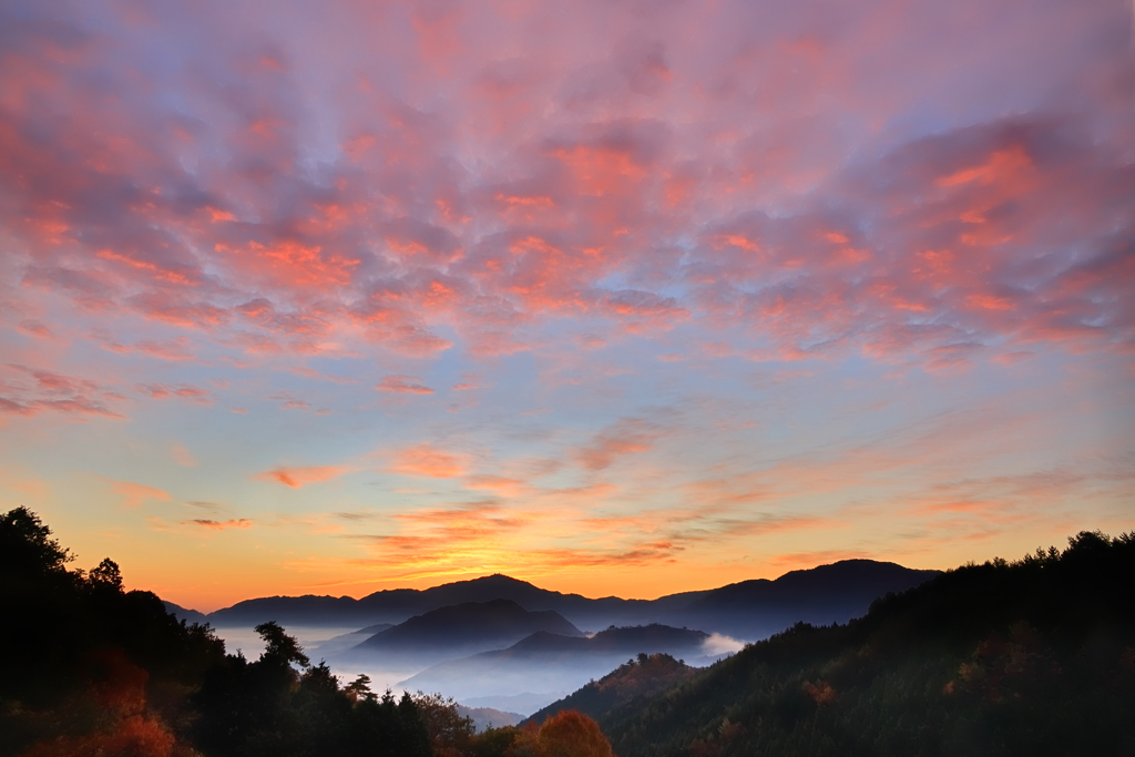 竹田城跡　朝焼け