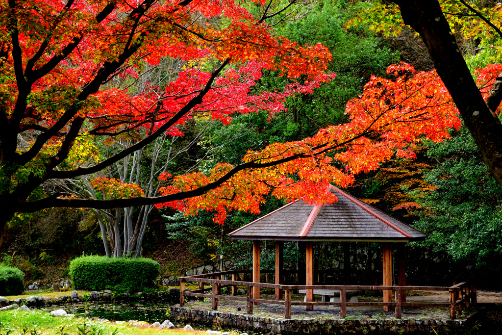 多可町余暇村公園-Ⅱ