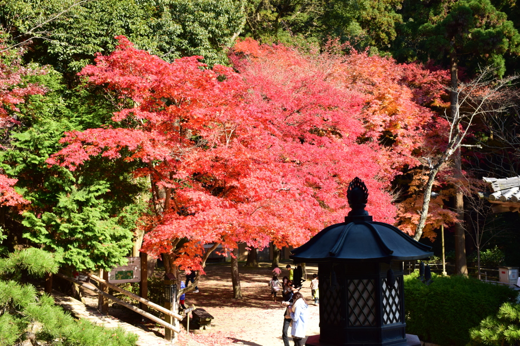 姫路　円教寺