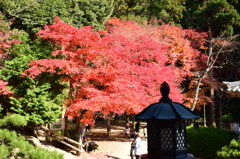 姫路　円教寺