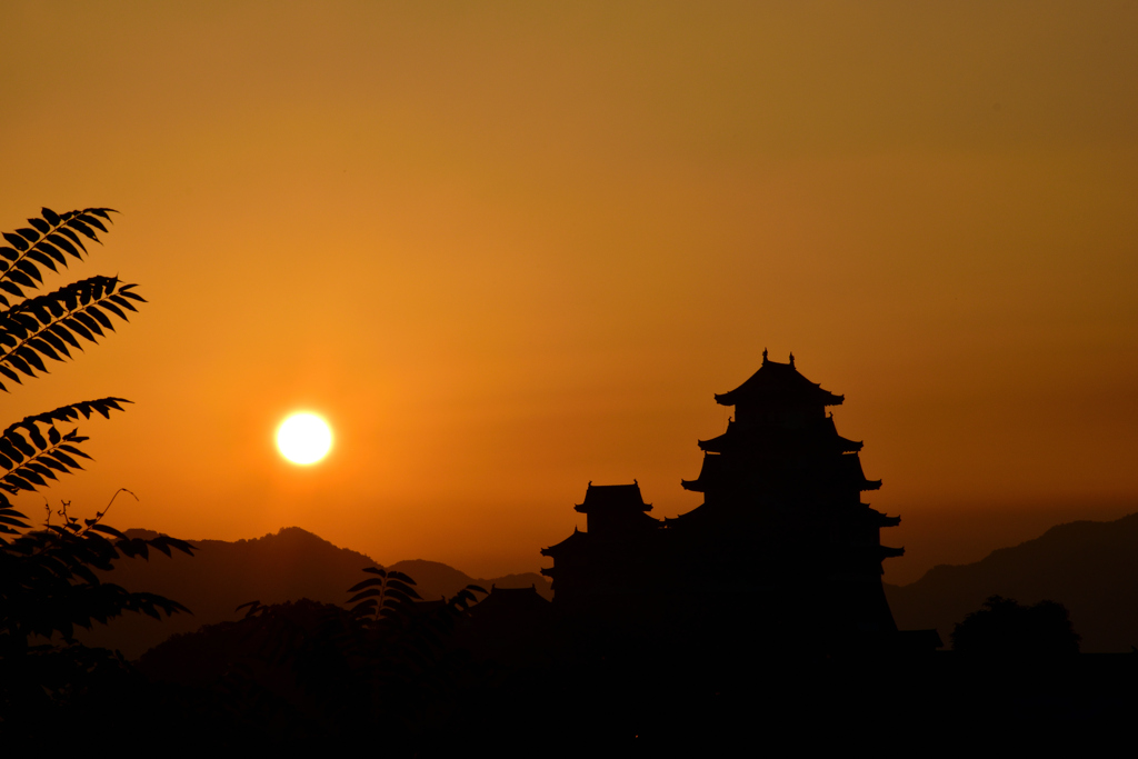 姫路城　日の出-Ⅱ